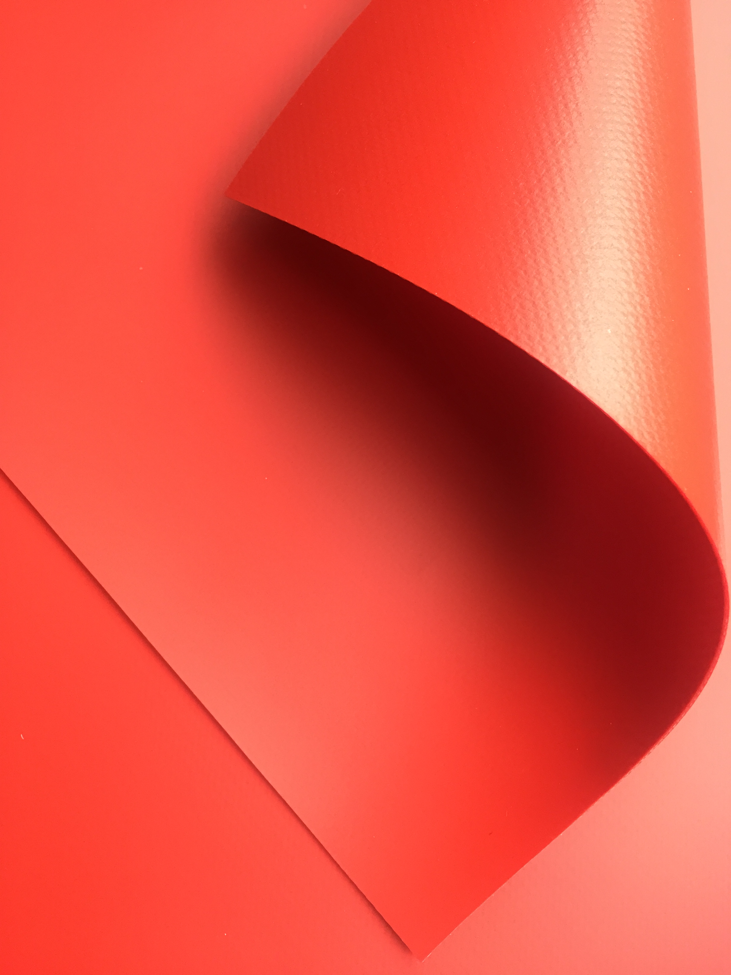 ����ͧ����