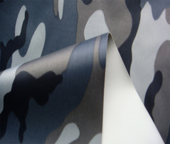 ��ȼ�����ҿ��й�ʯ���������֡�����